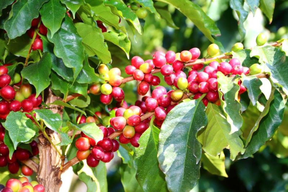 周辺環境6写真コメント6